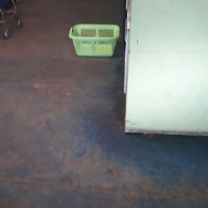 Meet your Posher, Dee